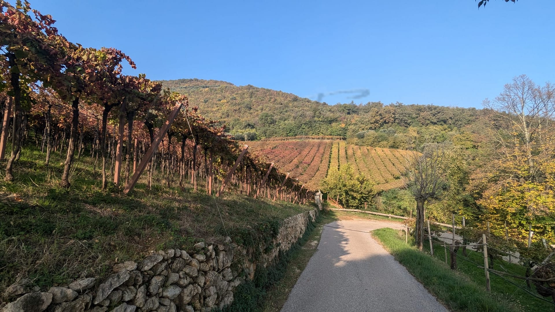 7-towns-in-veneto-for-wine-connoisseurs-to-retire-in