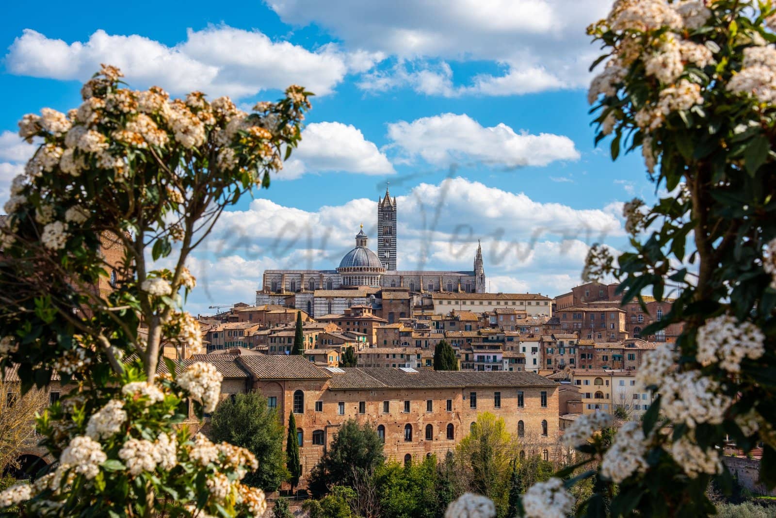Sienne en Toscane Italie