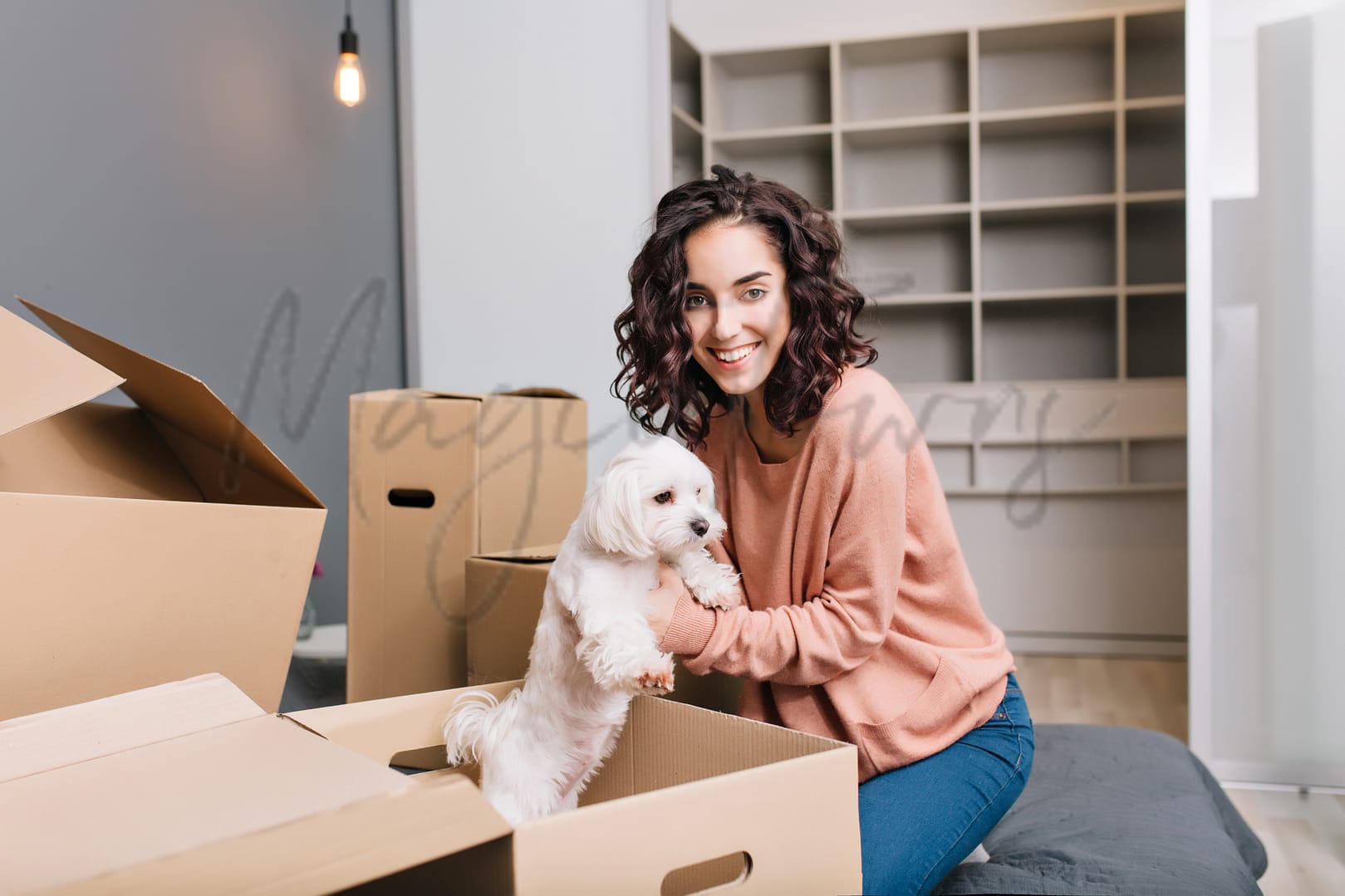 hunde-katzen-und-italien-ein-leitfaden-für-den-umzug-mit-tieren-und-navigieren-vor-ort