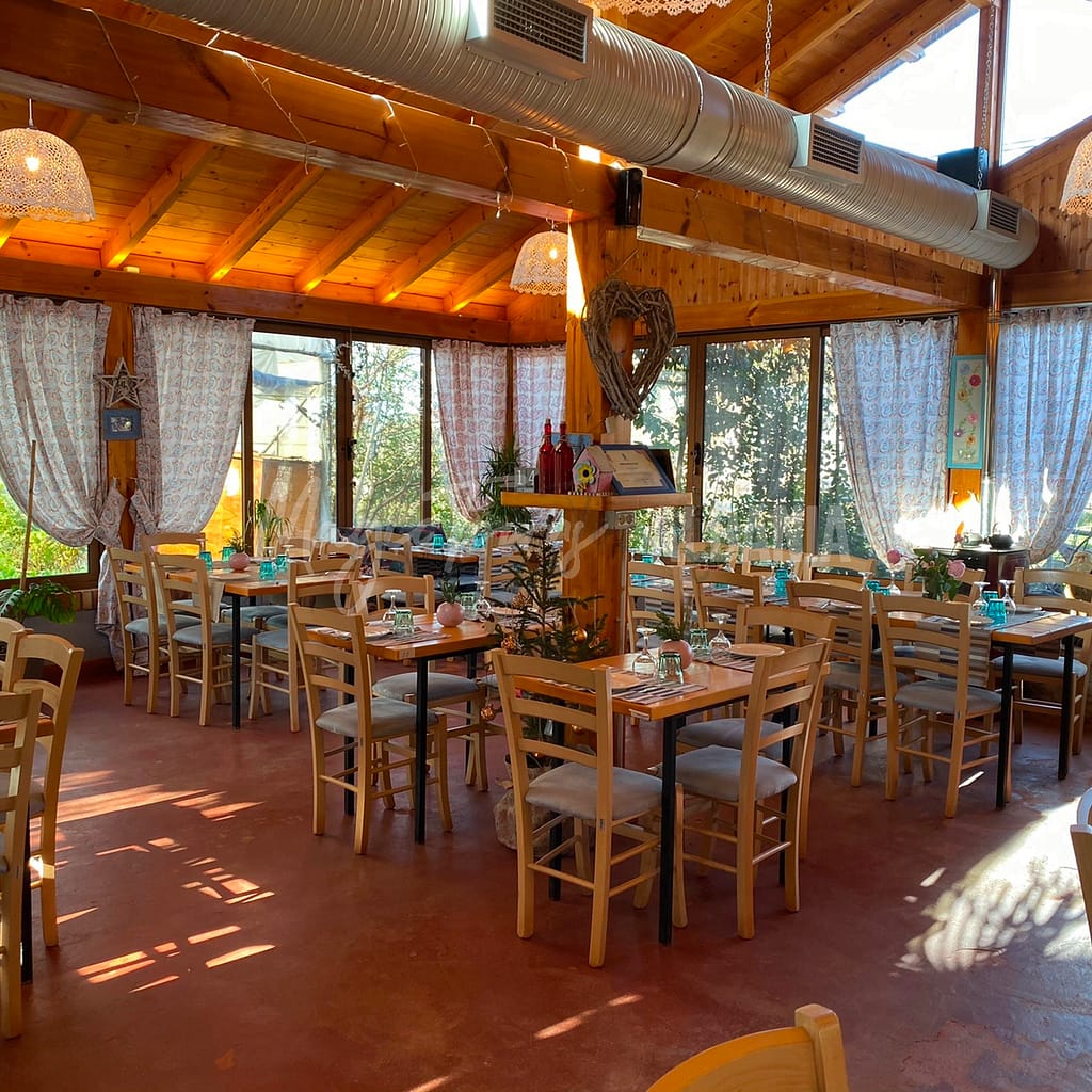 Ferme Blerina, Tirana