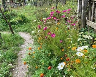 The Best Autumn Spots in Albania 2025 - My Personal Guide 23 Die besten Herbstdestinationen in Albanien 2024