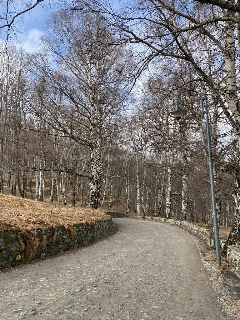 De bedste efterårssteder i Albanien 2025 - min personlige guide 10