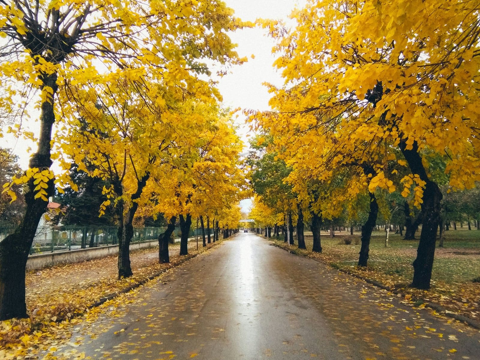 A Complete Guide to Pogradec, Albania 17