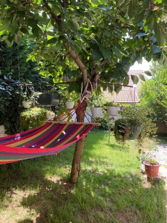 A Complete Guide to Pogradec, Albania 19