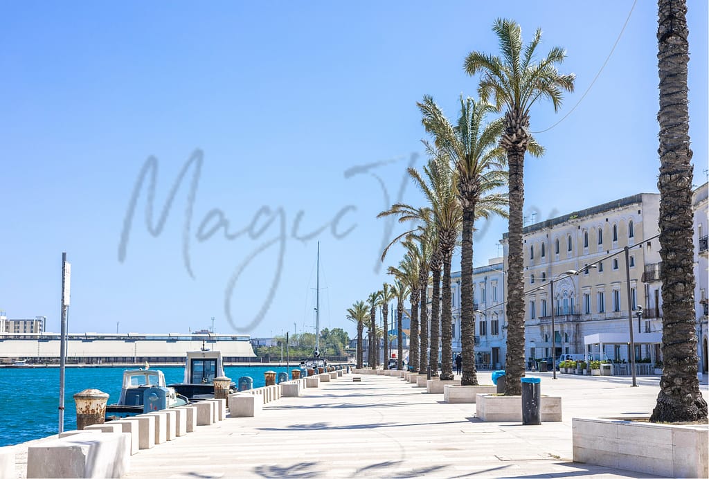 What People Say About Living In Brindisi 7 Living in brindisi, expats in brindisi
