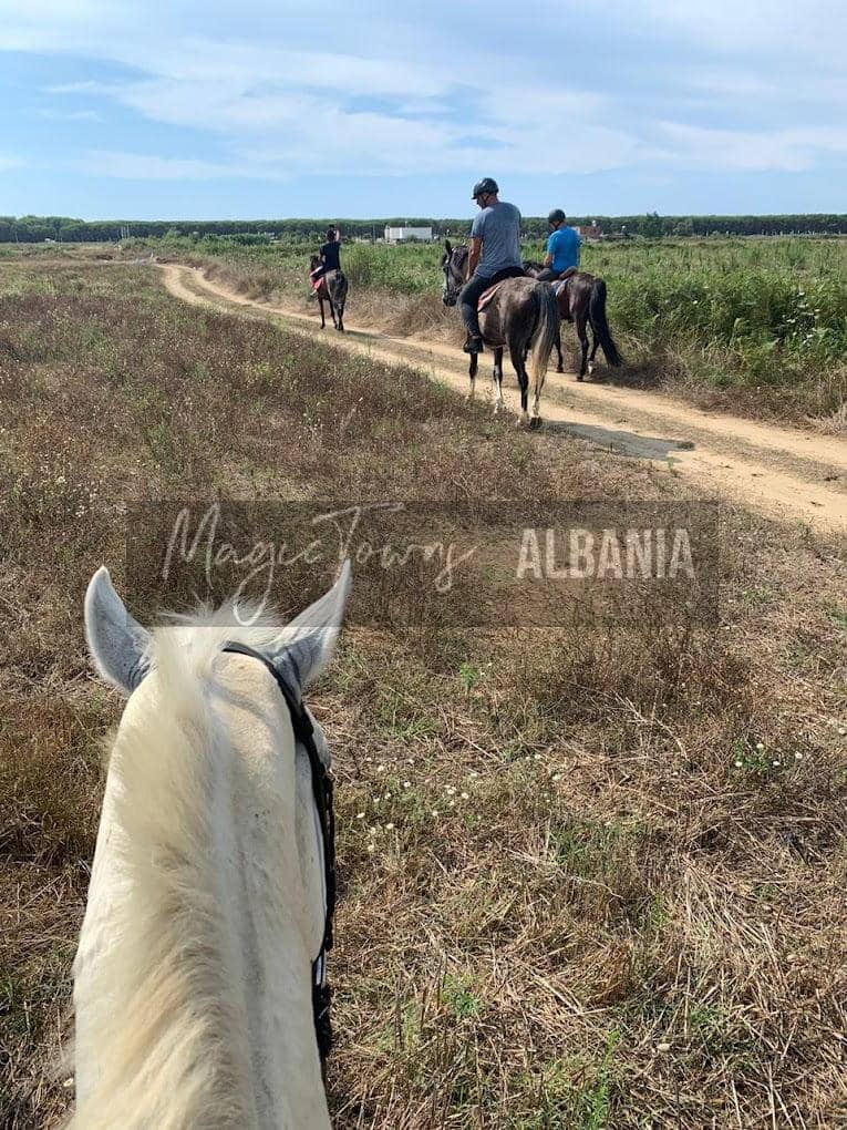 Die 5 besten Reiseziele für Strandaktivitäten in Albanien - meine Auswahl 19