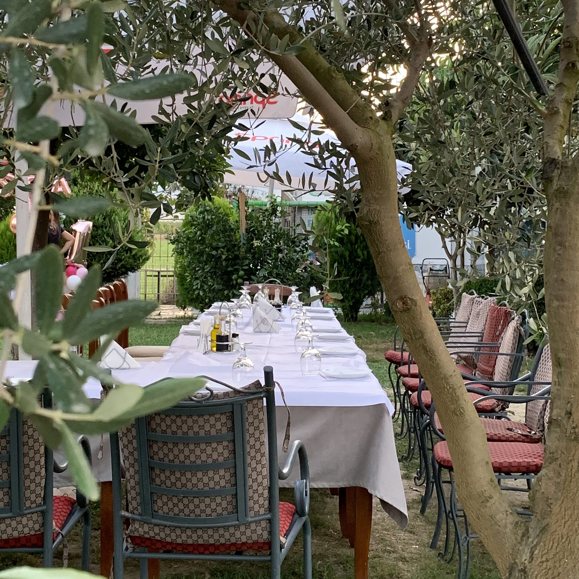 20 restaurants les plus réputés de Tirana 31