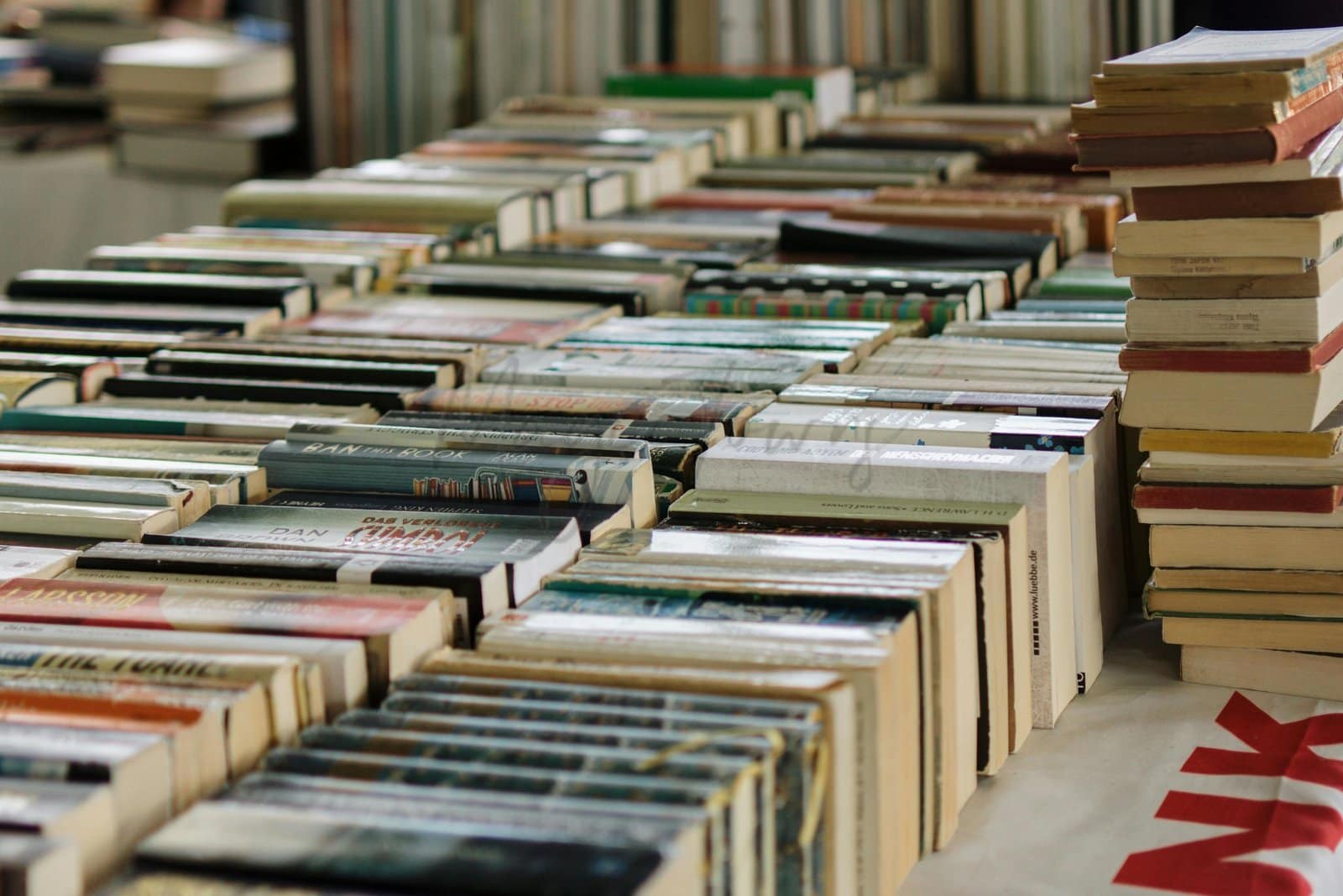 November Events in Tirana 17