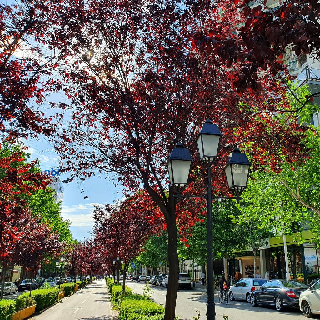 My Top 5 Neighbourhoods to Live in Tirana 11