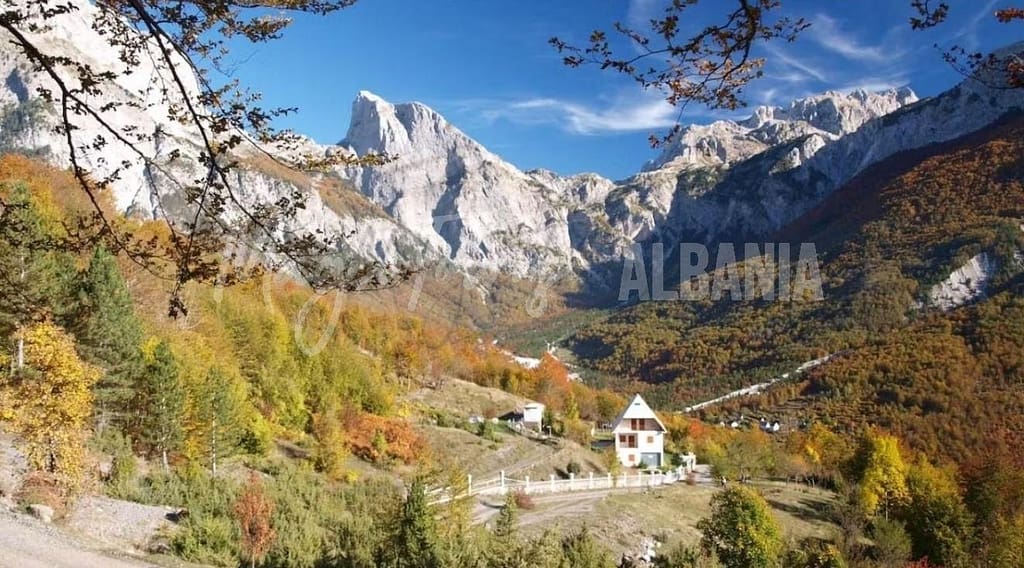 Montenegro vs Albania