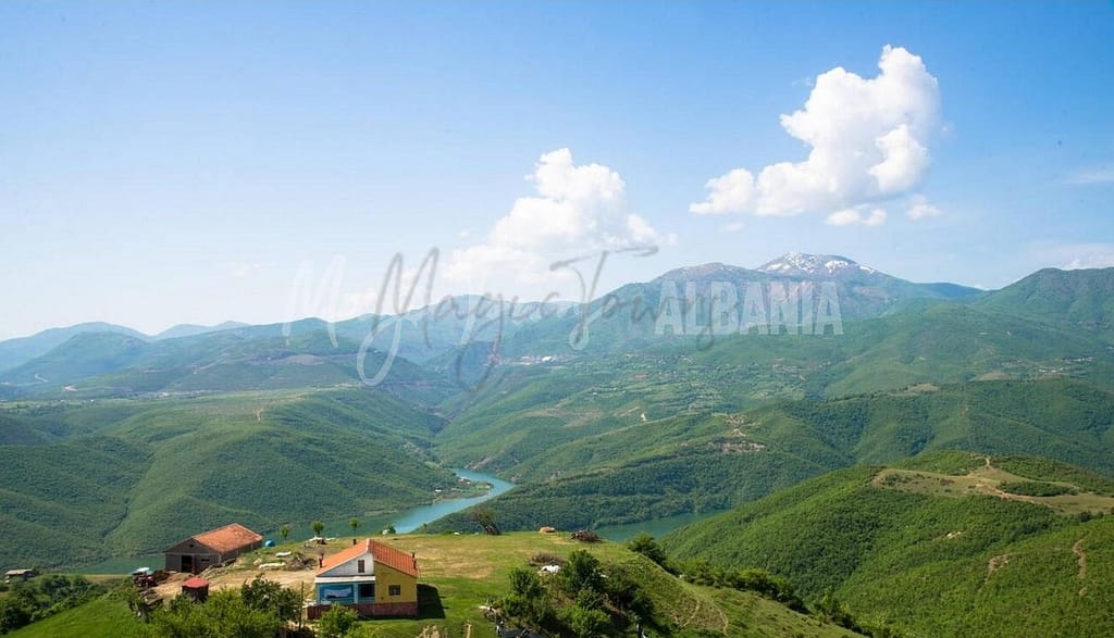 Montenegro vs Albania