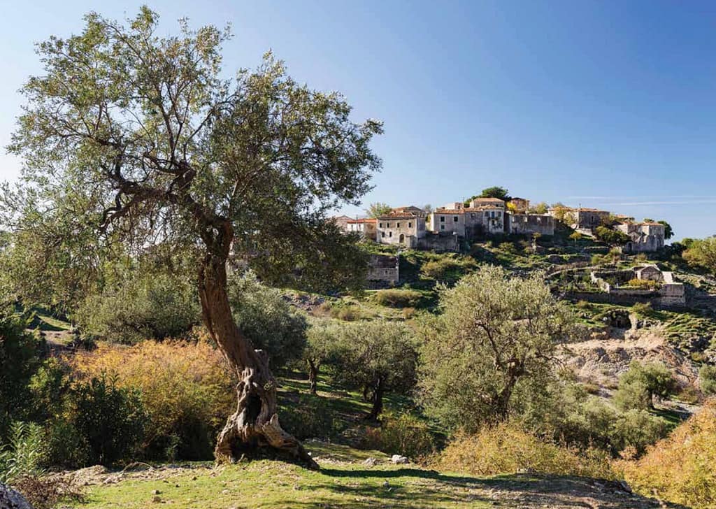 Qeparo. in South Albania surrounded by trees and nature