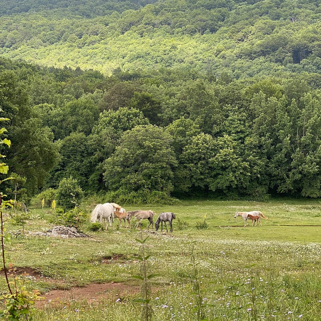 Destinations de randonnée printanière en Albanie 14