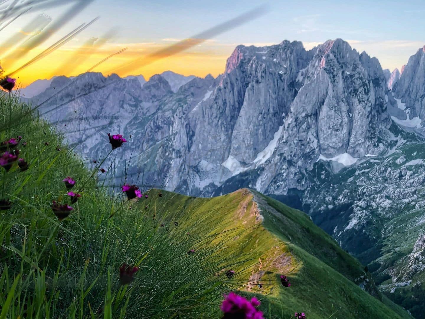 Beautiful landscape of Albania, with bloomed flowers and mountain views