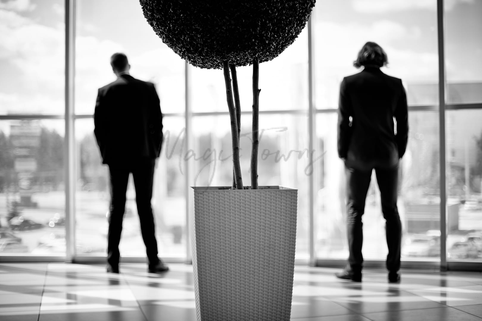 Personnalités du monde des affaires en Albanie