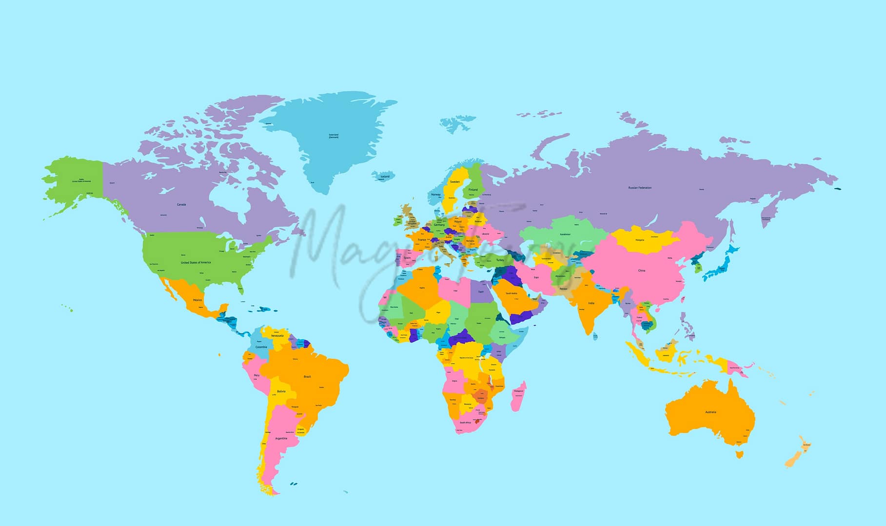 De 5 vigtigste søgeemner