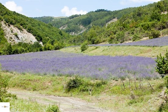 10 Secret Spots in Albania You Won’t Find on Travel Blogs 16