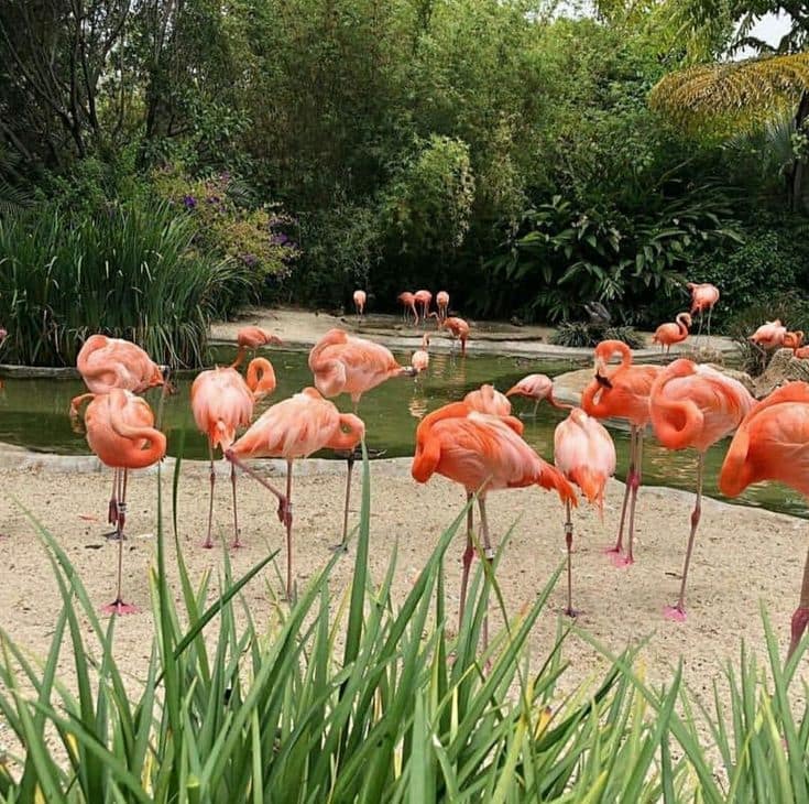 10 Secret Spots in Albania You Won’t Find on Travel Blogs 26