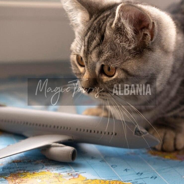 Déménager avec un animal de compagnie en Albanie