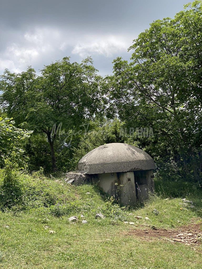 How to Spend a Day in Dajti National Park 10