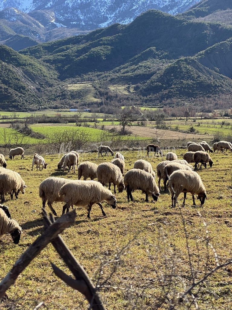 7 Destinations de printemps pour les voyages en Albanie 10