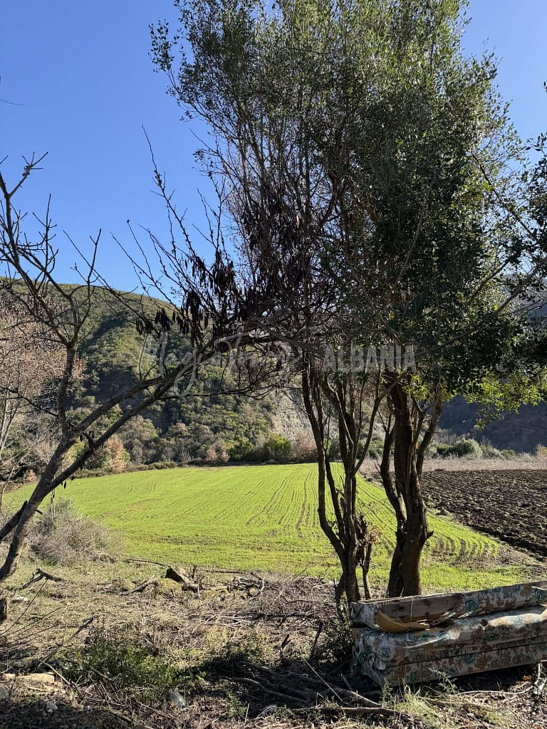 7 Destinations de printemps pour les voyages en Albanie 11