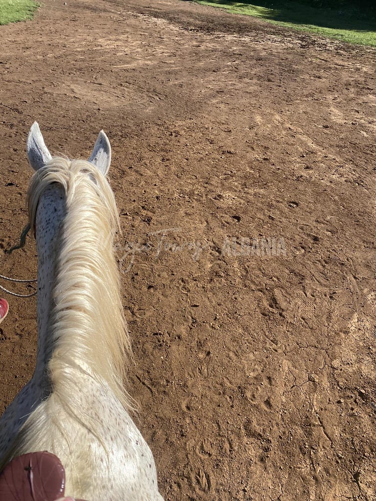 Comment passer une journée dans le parc national de Dajti 9