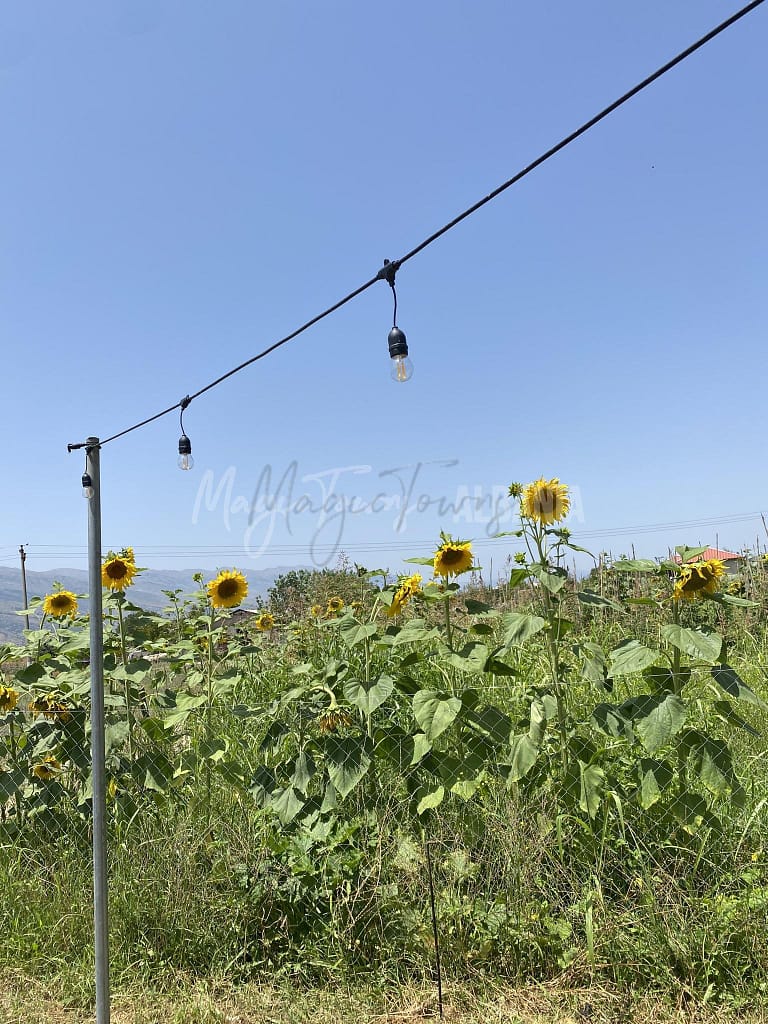 Die 10 besten Aktivitäten in Gjirokastër 13