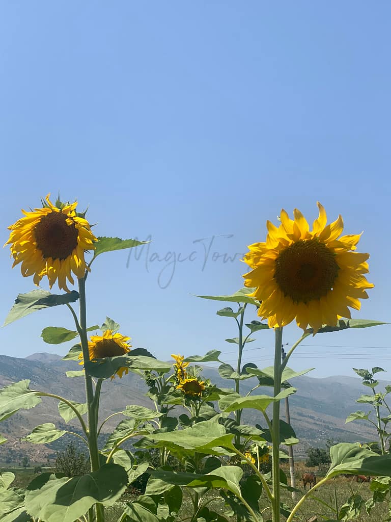 10 Secret Spots in Albania You Won’t Find on Travel Blogs 19