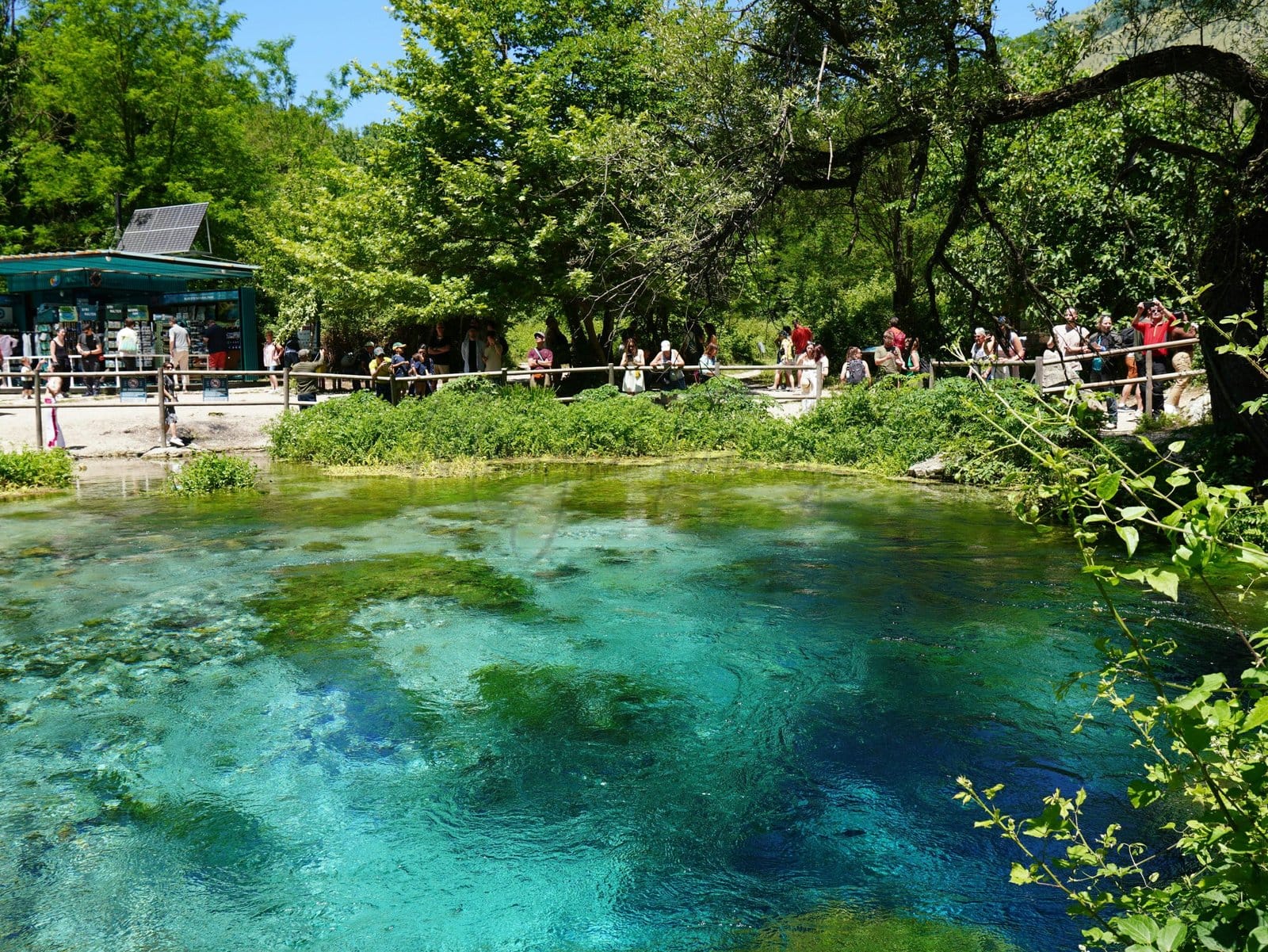 Albania Sees Tourism Growth: More Visitors and Revenue 6