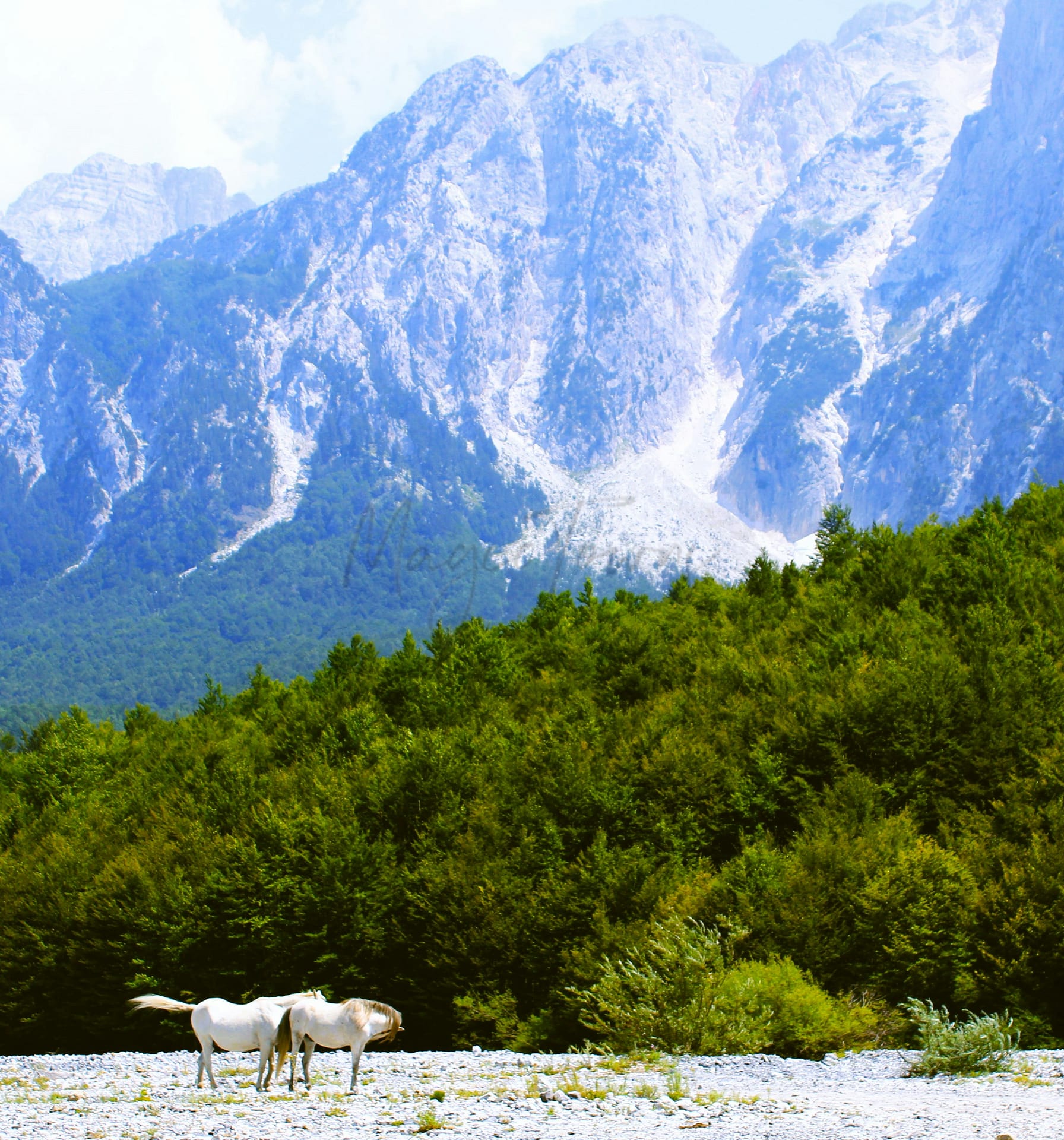 Destinations de randonnée printanière en Albanie 10