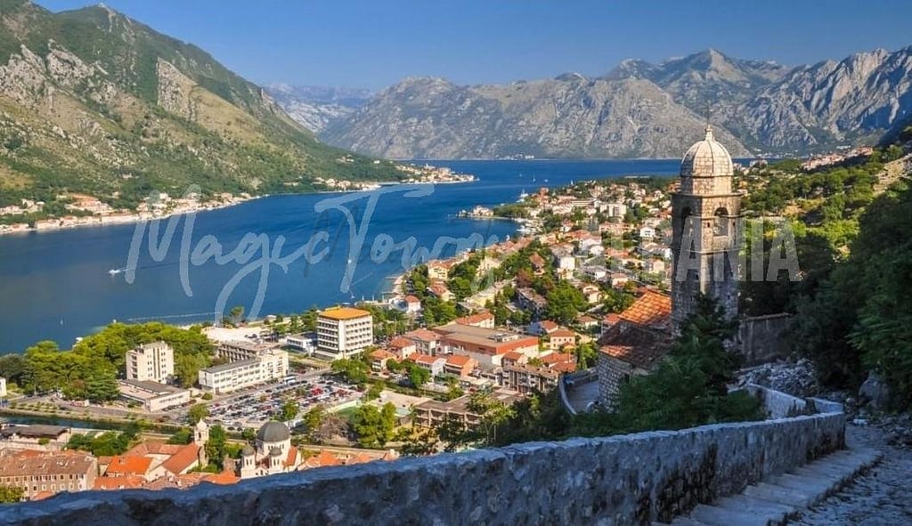 Montenegro vs Albania