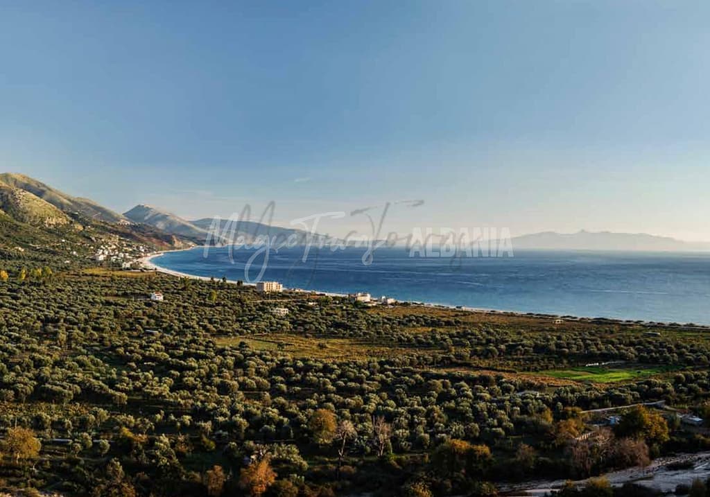 sea borsh albania