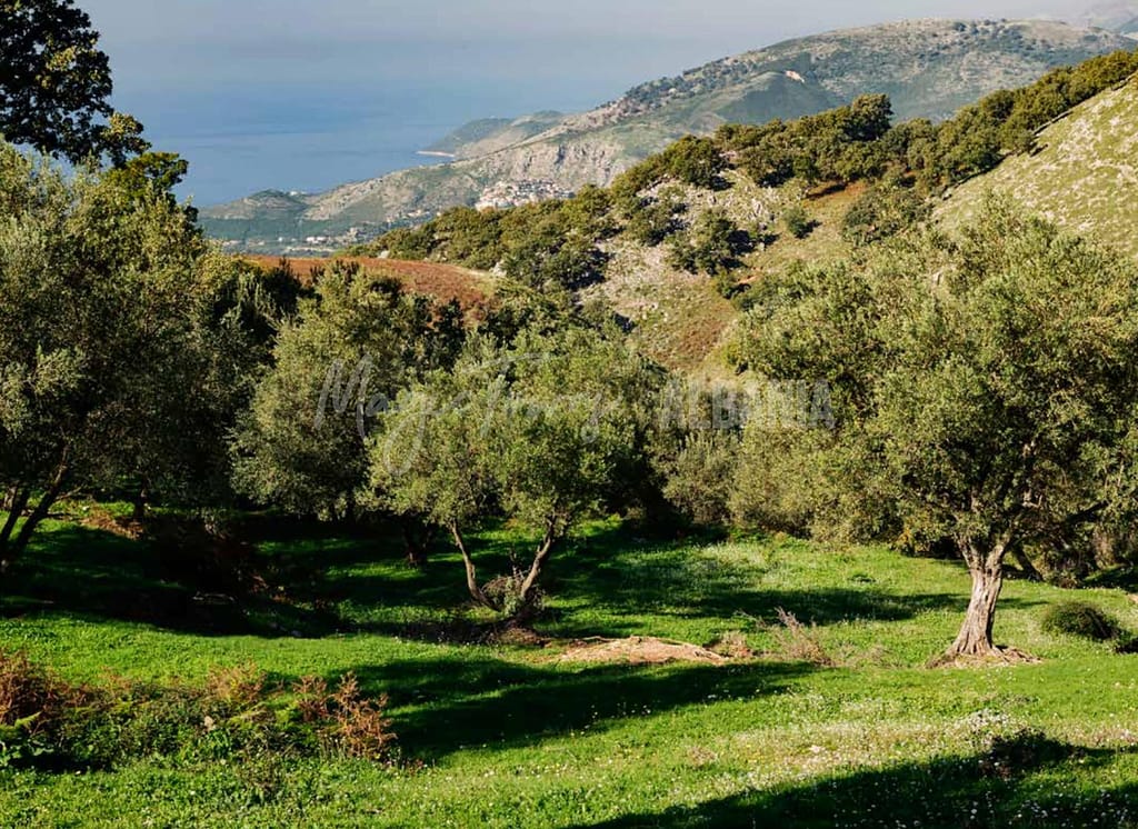 pilur albania mountain