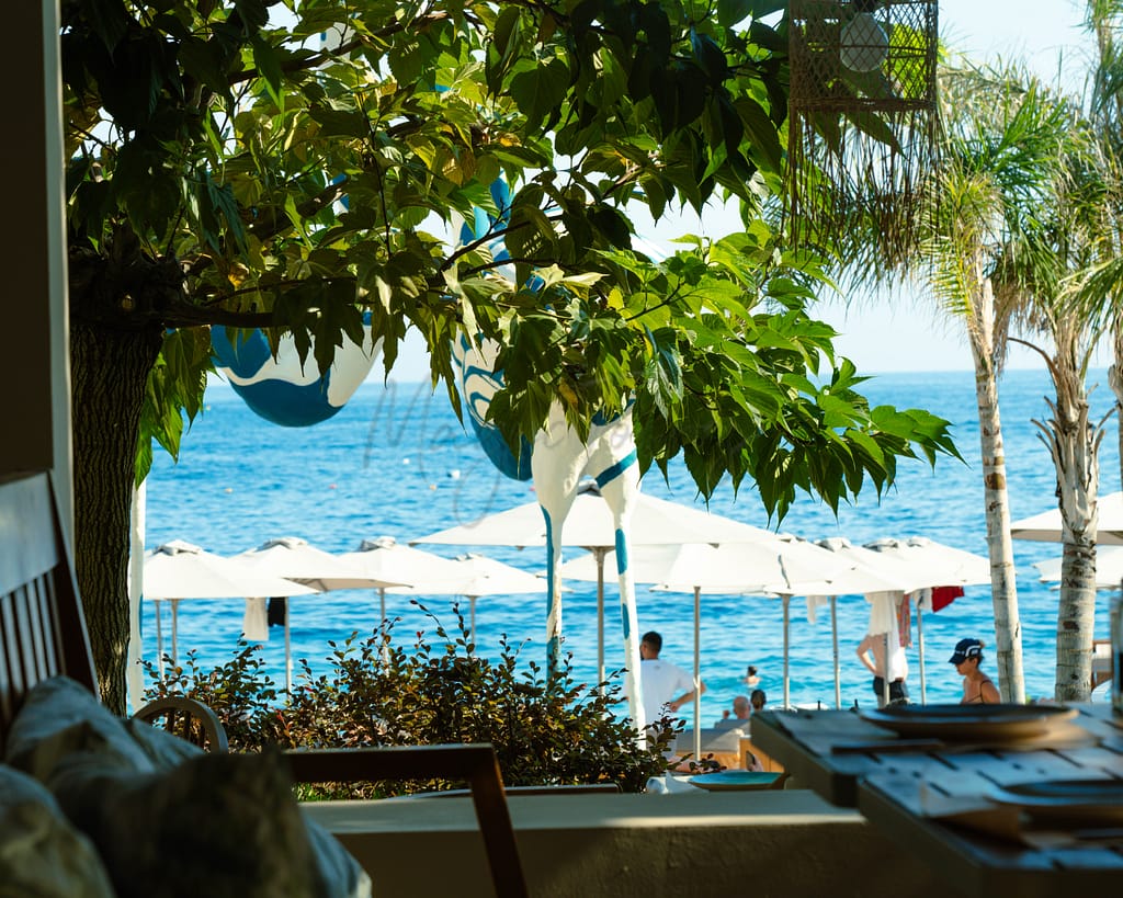 beach club with umbrellas, tree branches, table in foreground and people at beach