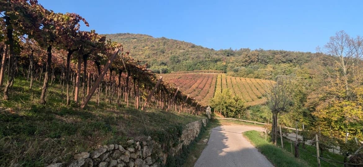 7 Towns in Veneto For Wine Connoisseurs to Retire In