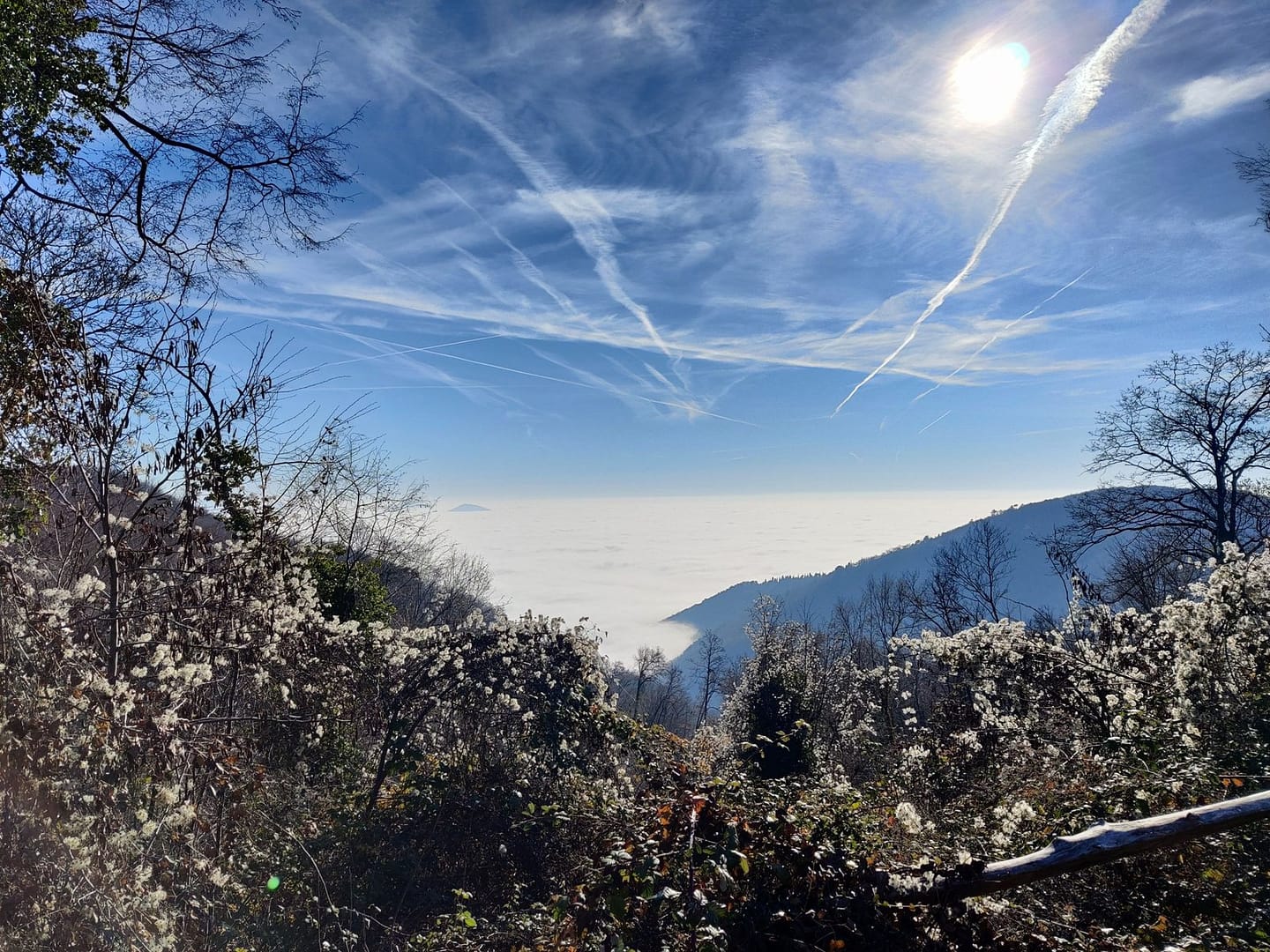 passeggiate rinfrescanti d'inverno in veneto per abbracciare la pace