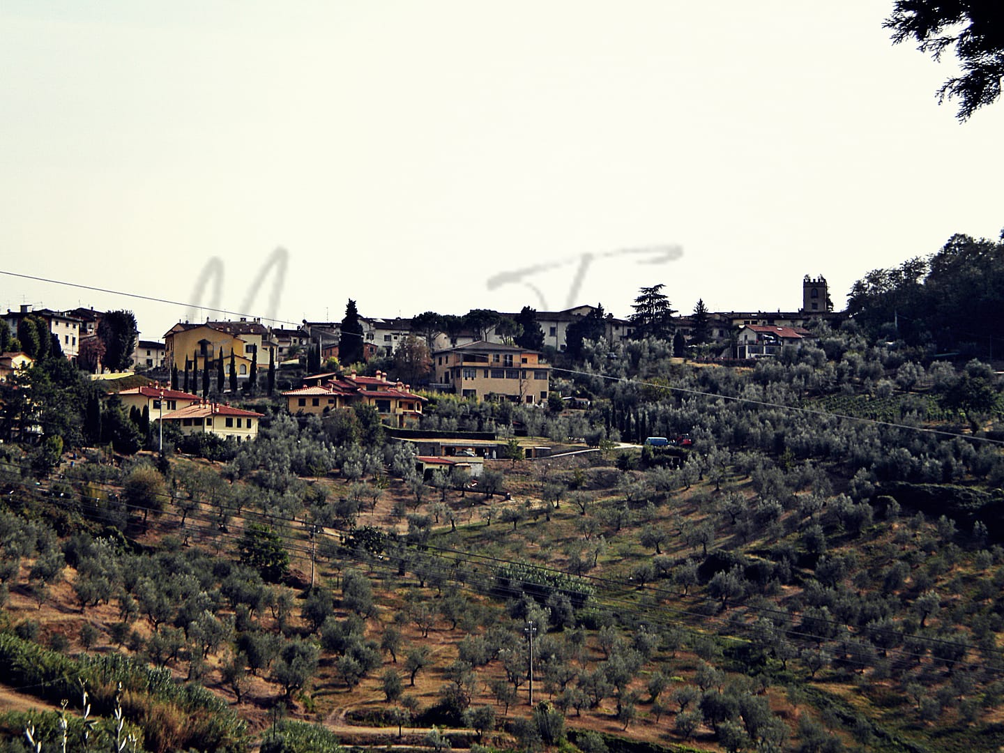 Carmignano in Toscana Italy