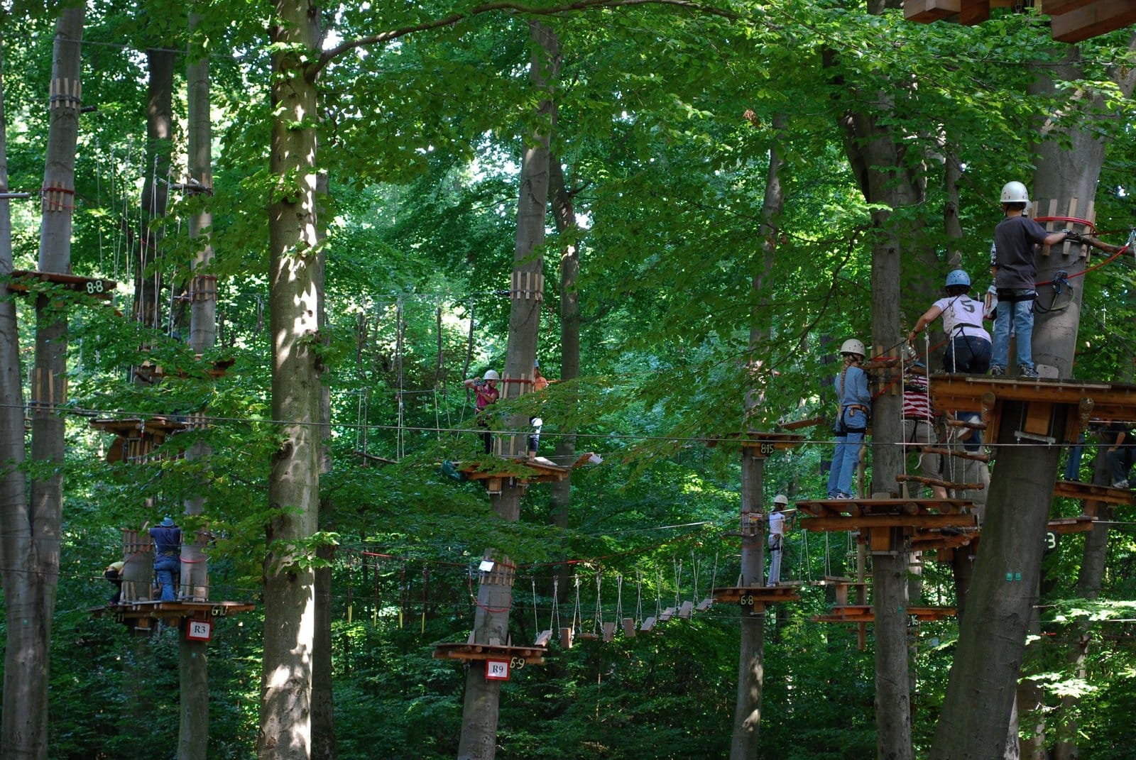 Family Fun in Veneto: Adventure, Culture, and Outdoor Activities for Kids 8