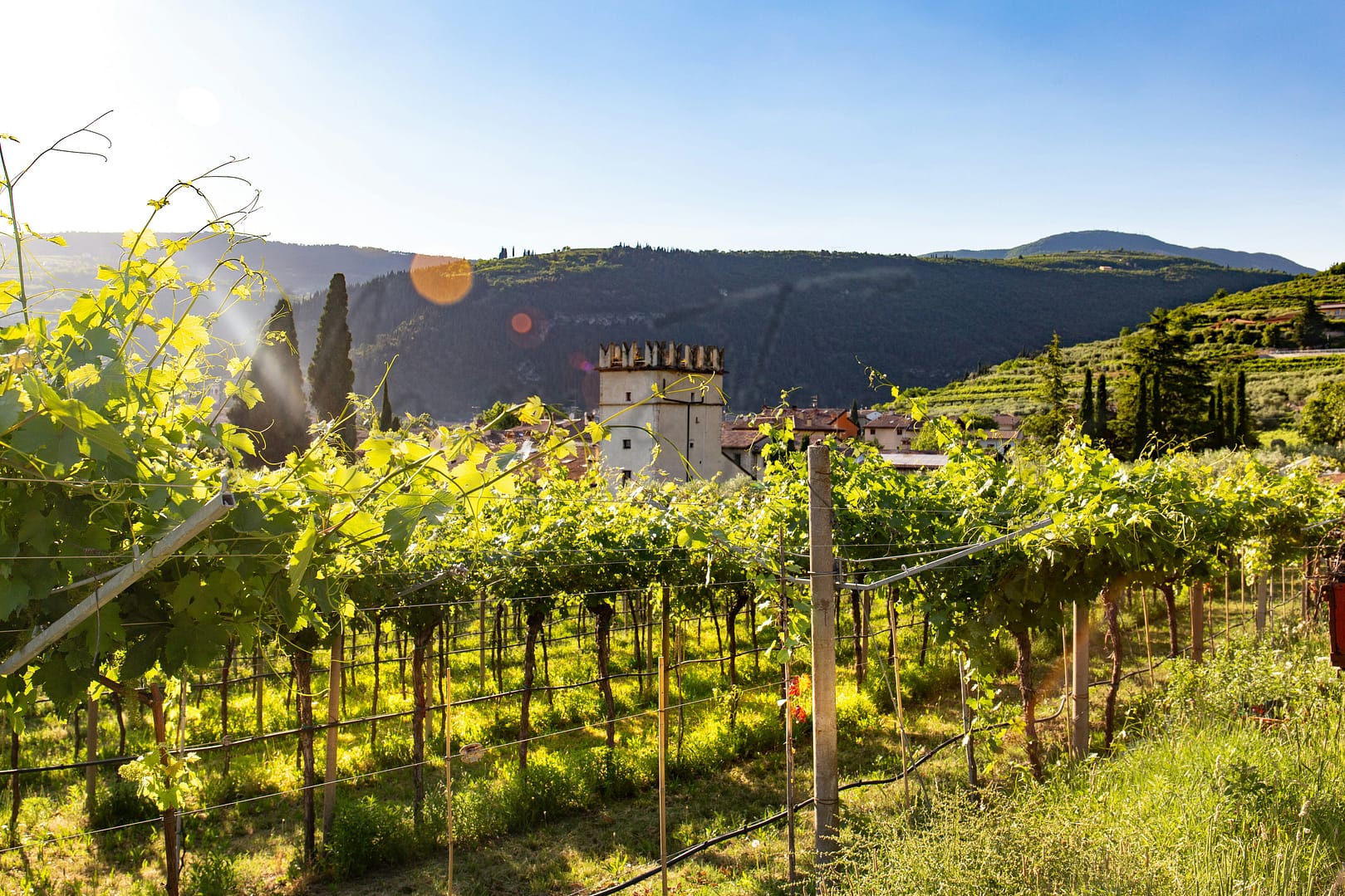 the-best-veneto-towns-for-wine-lovers