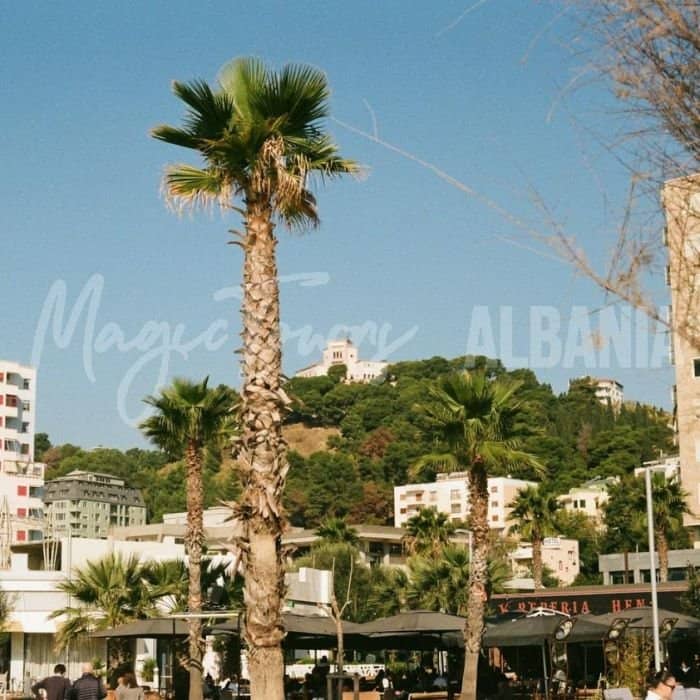 Palmer i Durres