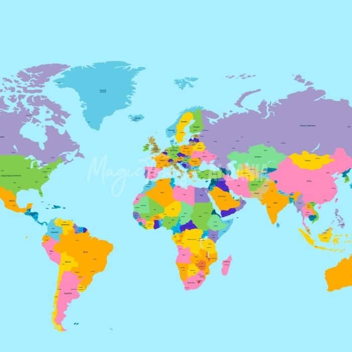 The Top 5 Search Topics