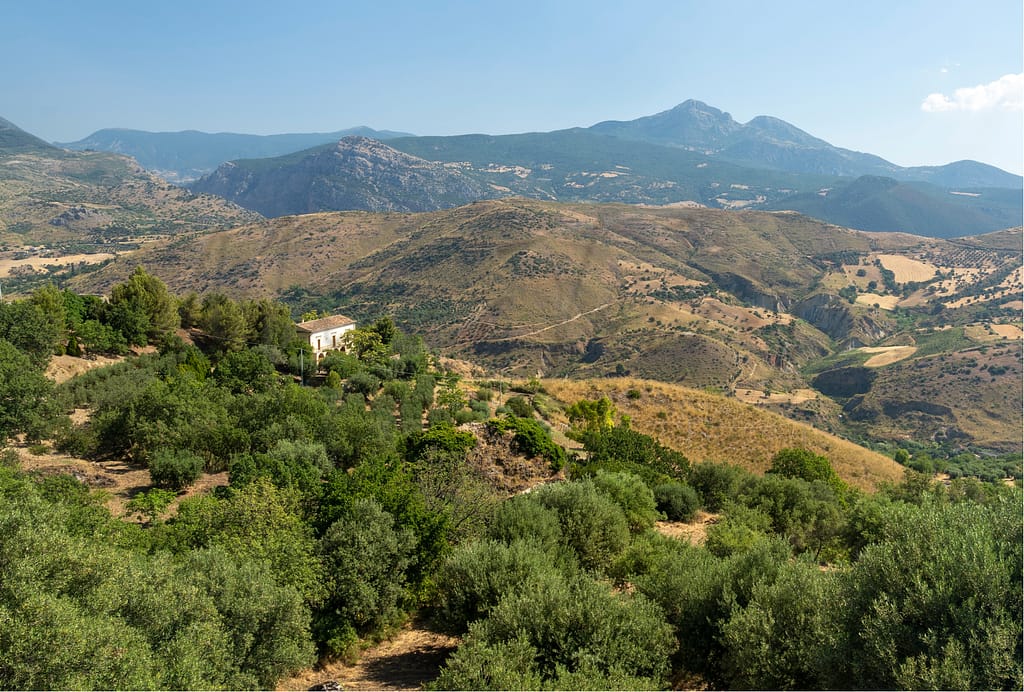 Italy’s 7% Pensioner Tax Regime Expands: 80 New Eligible Towns 15 7% pensioner tax regime, 7% flat tax