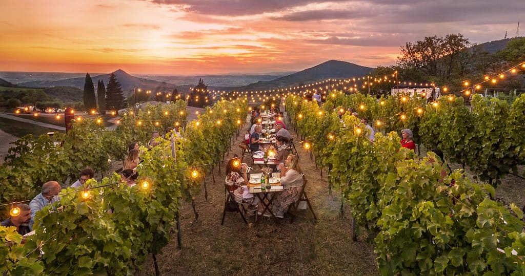 Les meilleures villes de Vénétie pour les amateurs de vin 9 Les amateurs de vin