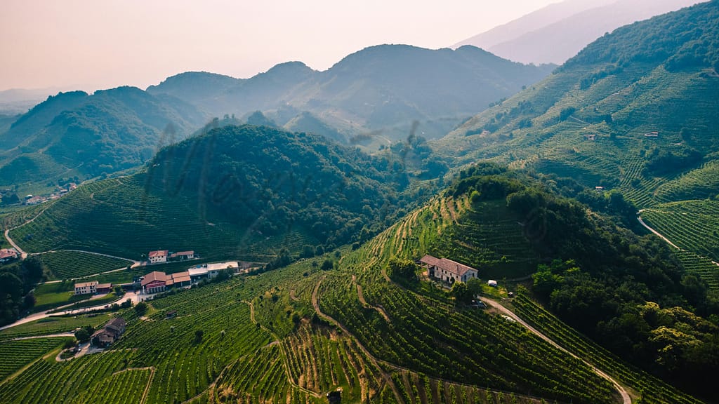Les meilleures villes de Vénétie pour les amateurs de vin 8 Les amateurs de vin