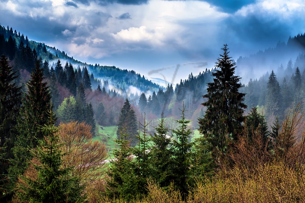 Asiago