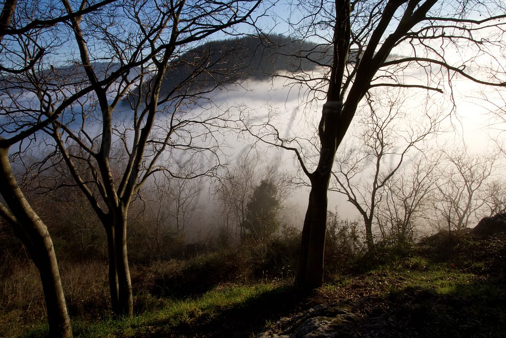 5 Hidden Gems Within An Hour’s Drive From Venice 13