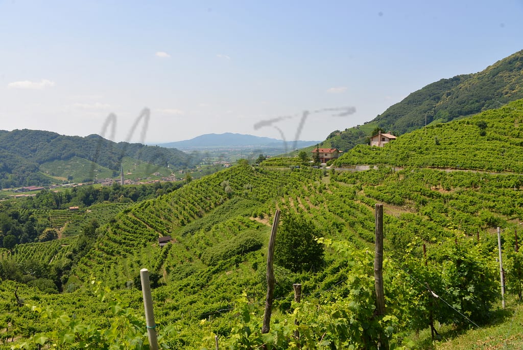 Valdobbiadene