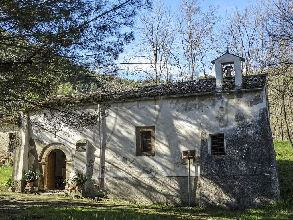 Bisignano