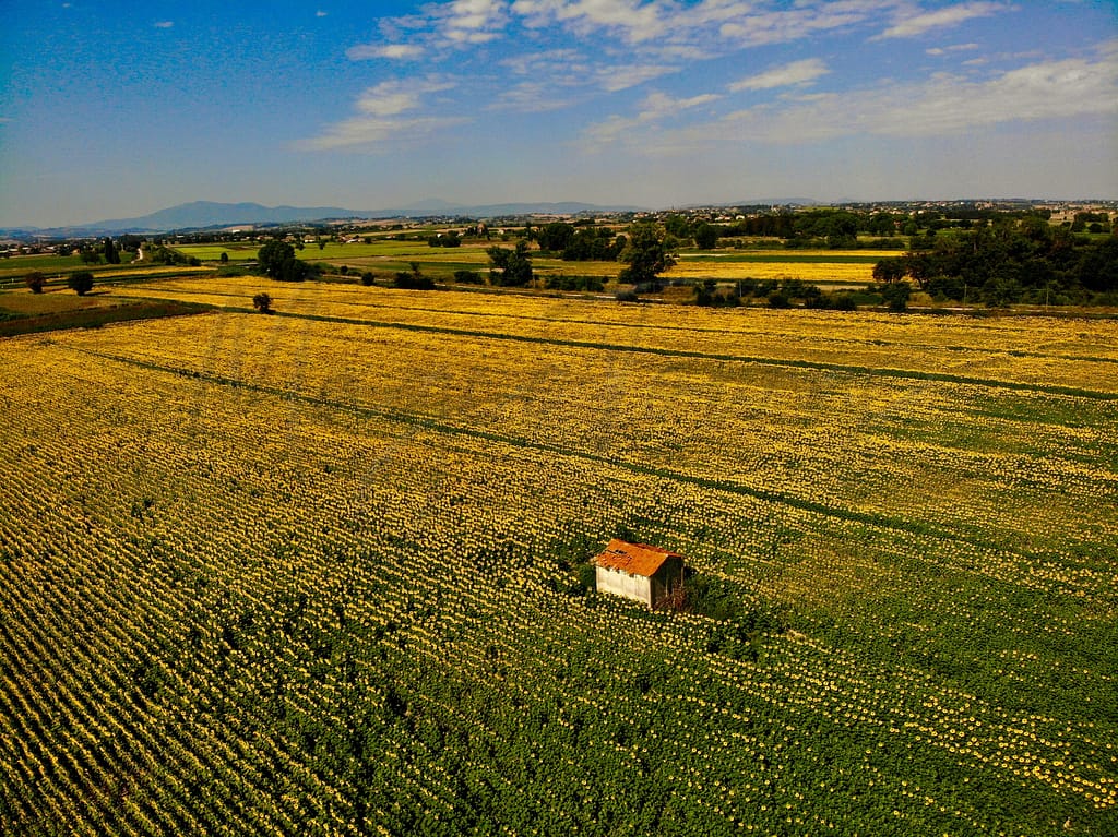 10 erreurs à éviter lors de la rénovation d'un bien immobilier en Italie 14 Rénovation d'un bien immobilier en Italie
